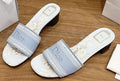 Dior Light Blue Embroidered Slide Sandals — hero