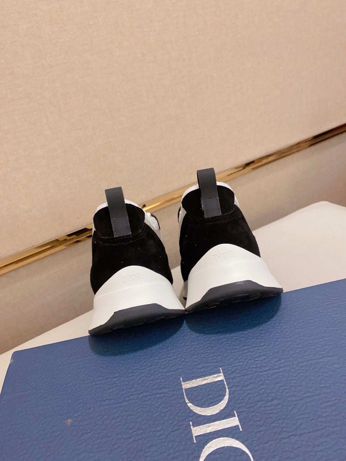 Dior B30 Low-Top Sneakers — back