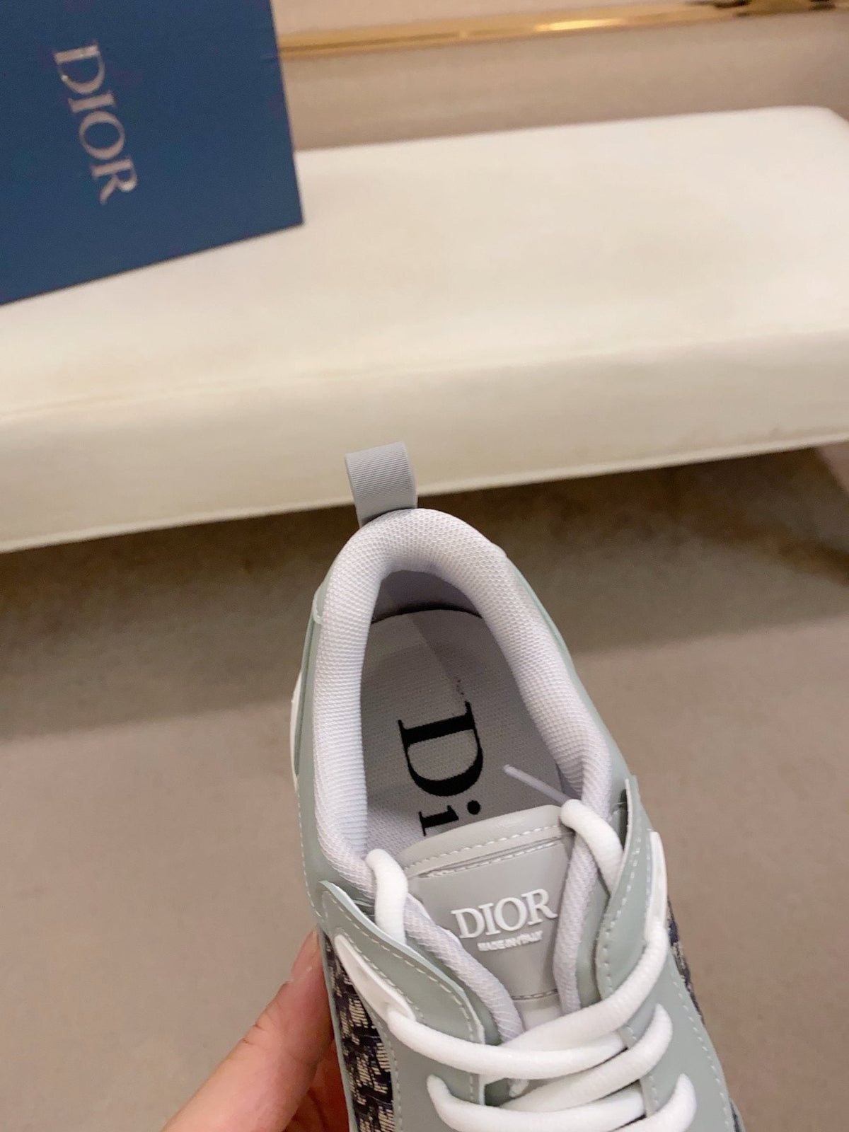 Dior B30 Low-Top Sneakers — back