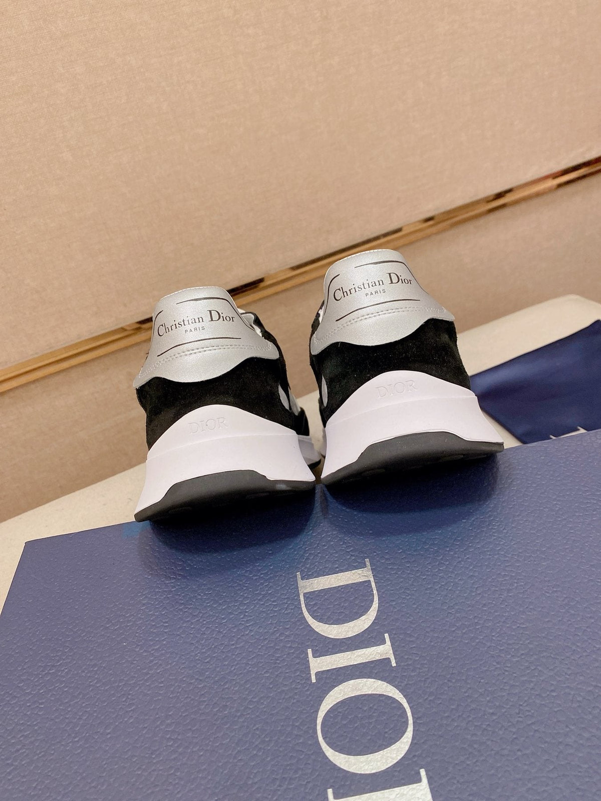 Dior B30 Low-Top Sneakers — back