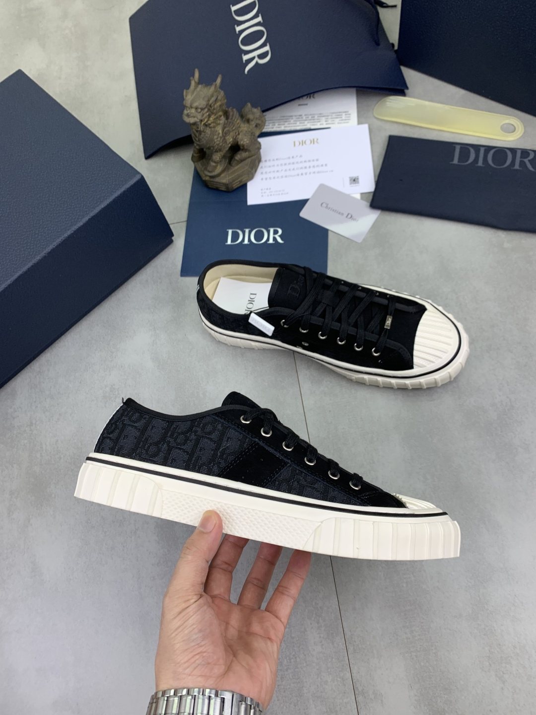 Dior Hooper Low-Top Sneakers — model